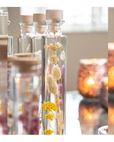 herbarium de fleurs naturelles