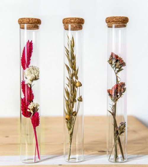 tubes de fleurs séchées