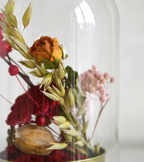 fleurs séchées sous verre