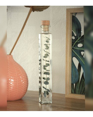 flacon d'eucalyptus déco