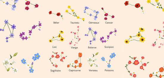 Quelle composition de fleurs séchées selon votre signe astrologique ?