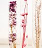 Submerged Flower Tubes on Stand - Six