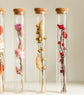 Tubes of dried flowers