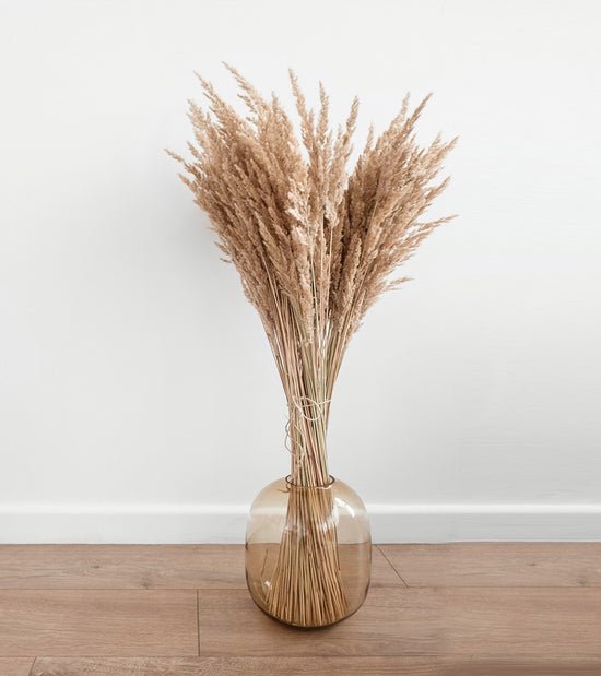 Graminée séchée - beige