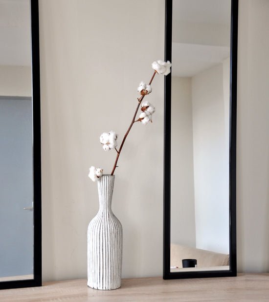 Tige de fleur de coton