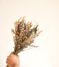 Sprig of oats - Bouquet of dried flowers