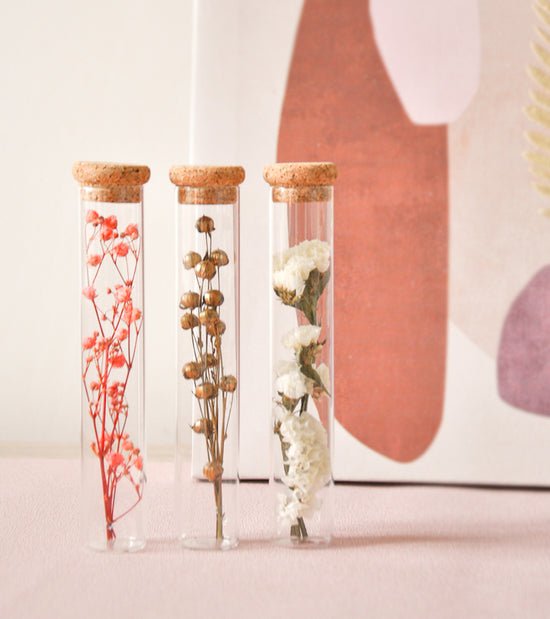 Tubes de fleurs séchées - Mini